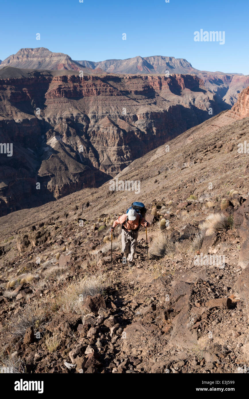 Backpacker aufsteigend die remote Lava Falls Route in Grand Canyon Nationalpark in Arizona. Stockfoto