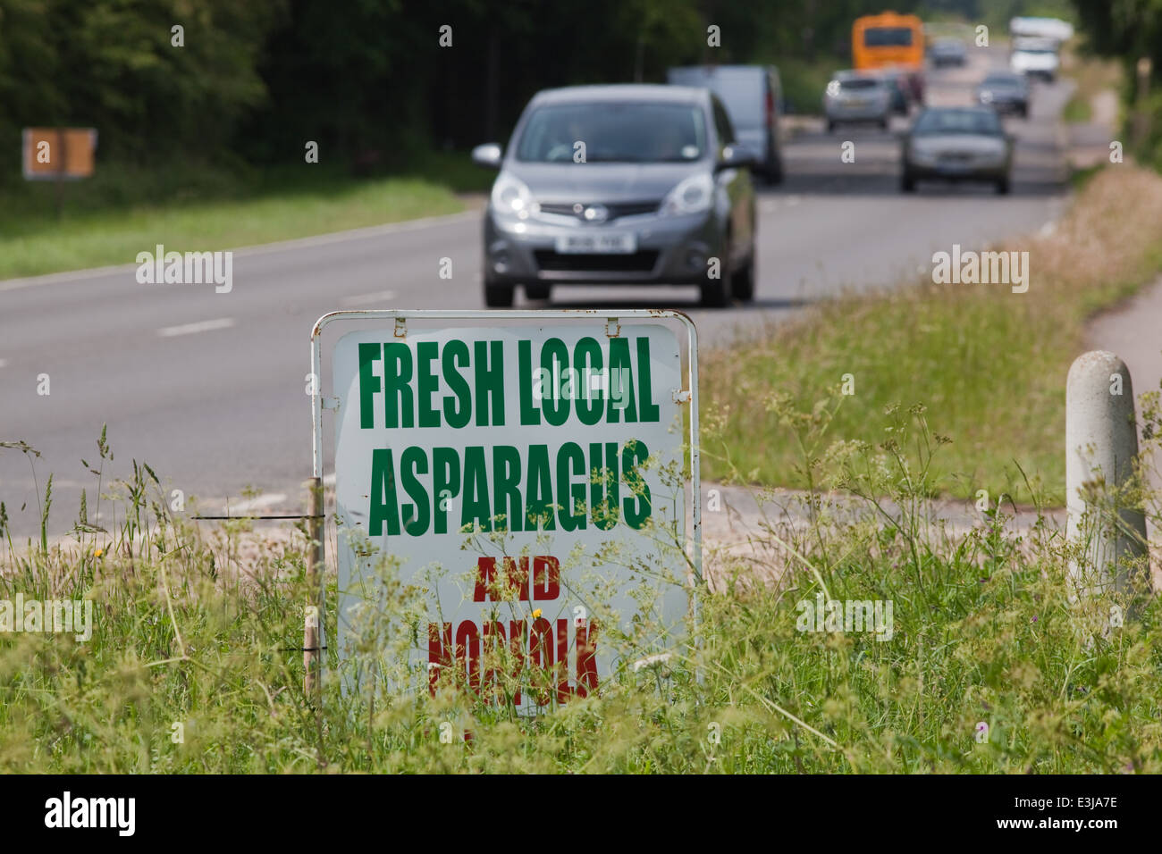 Zeichen. Am Straßenrand Verkauf von lokal angebauten Spargel und Erdbeeren (teilweise durch unkontrollierte Vegetation verdeckt). Wayford Brücke. S Stockfoto