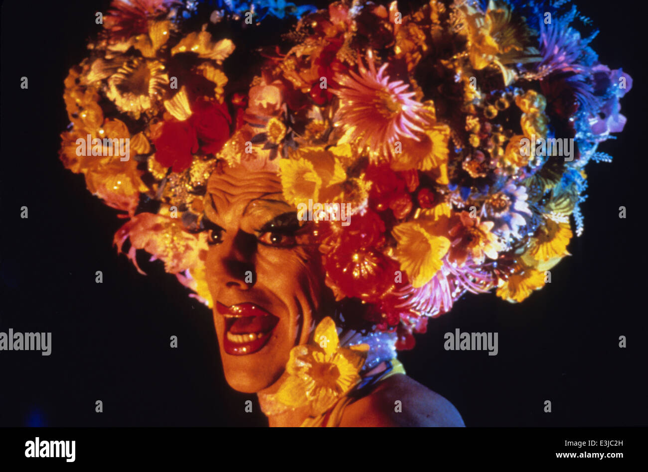 die Abenteuer von Priscilla, Königin der Wüste Stockfoto