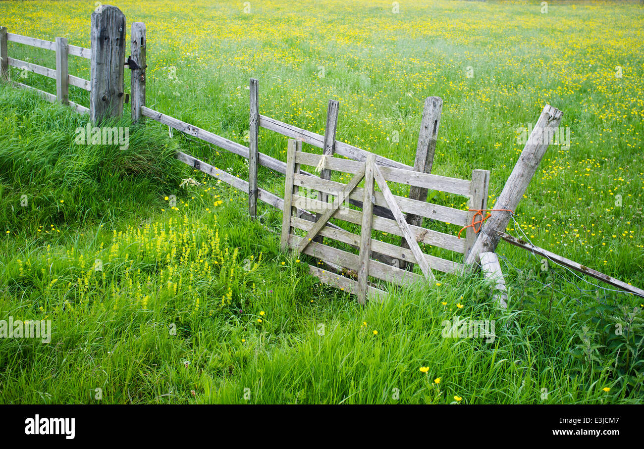 Das alte Tor Wiese Stockfoto