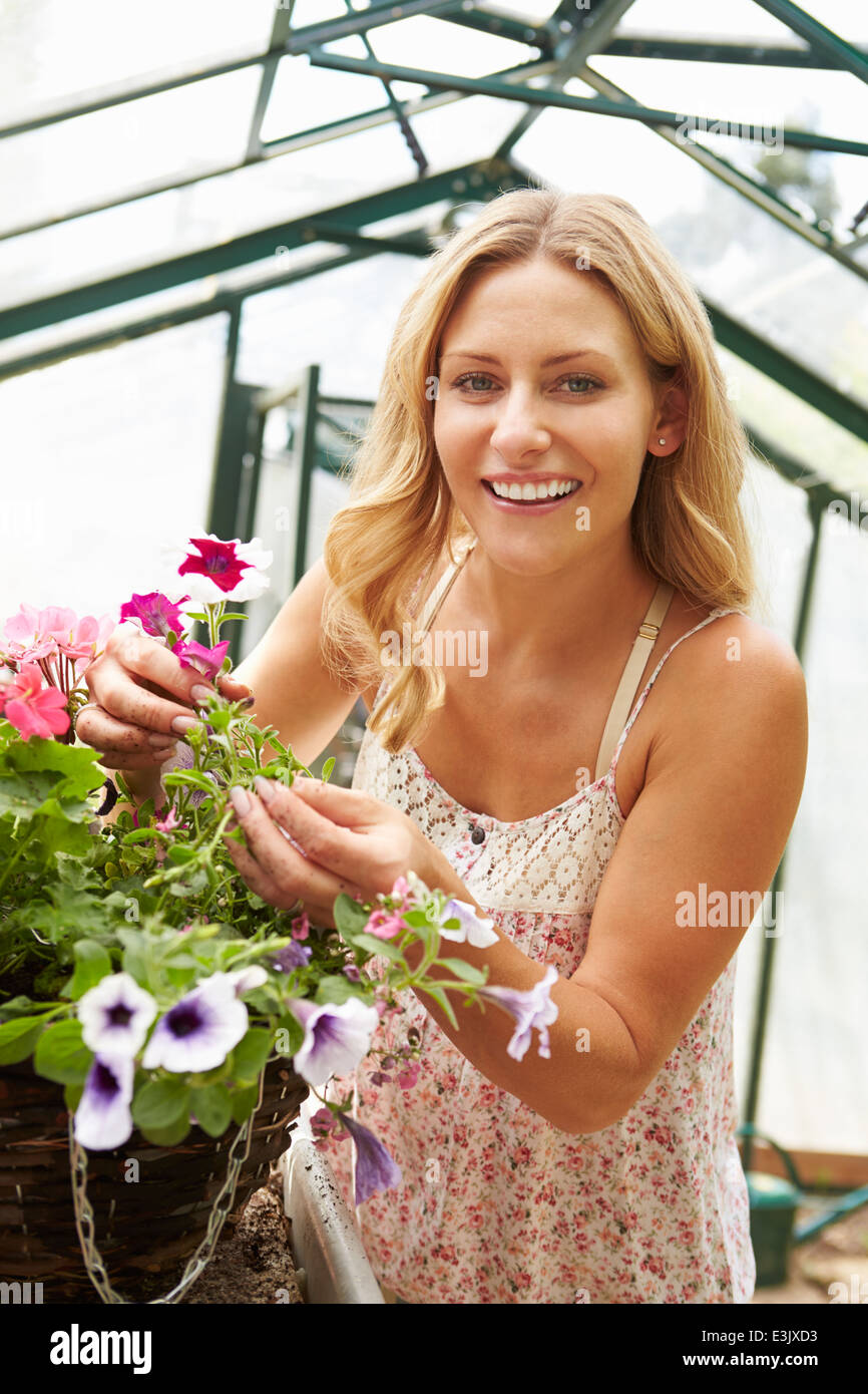 Frau wachsen Pflanzen im Gewächshaus Stockfoto