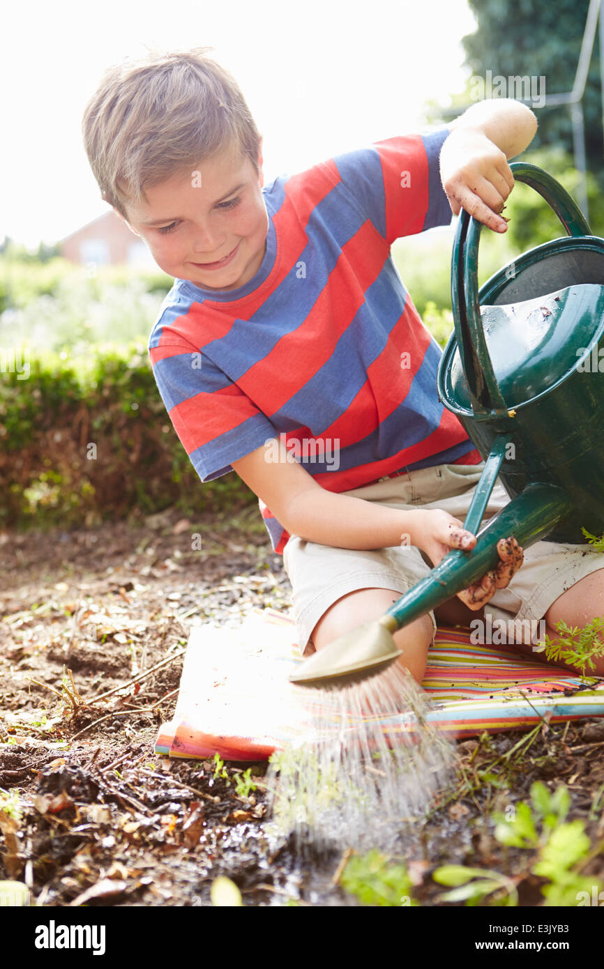Junge Sämlinge im Boden auf Zuteilung Bewässerung Stockfoto