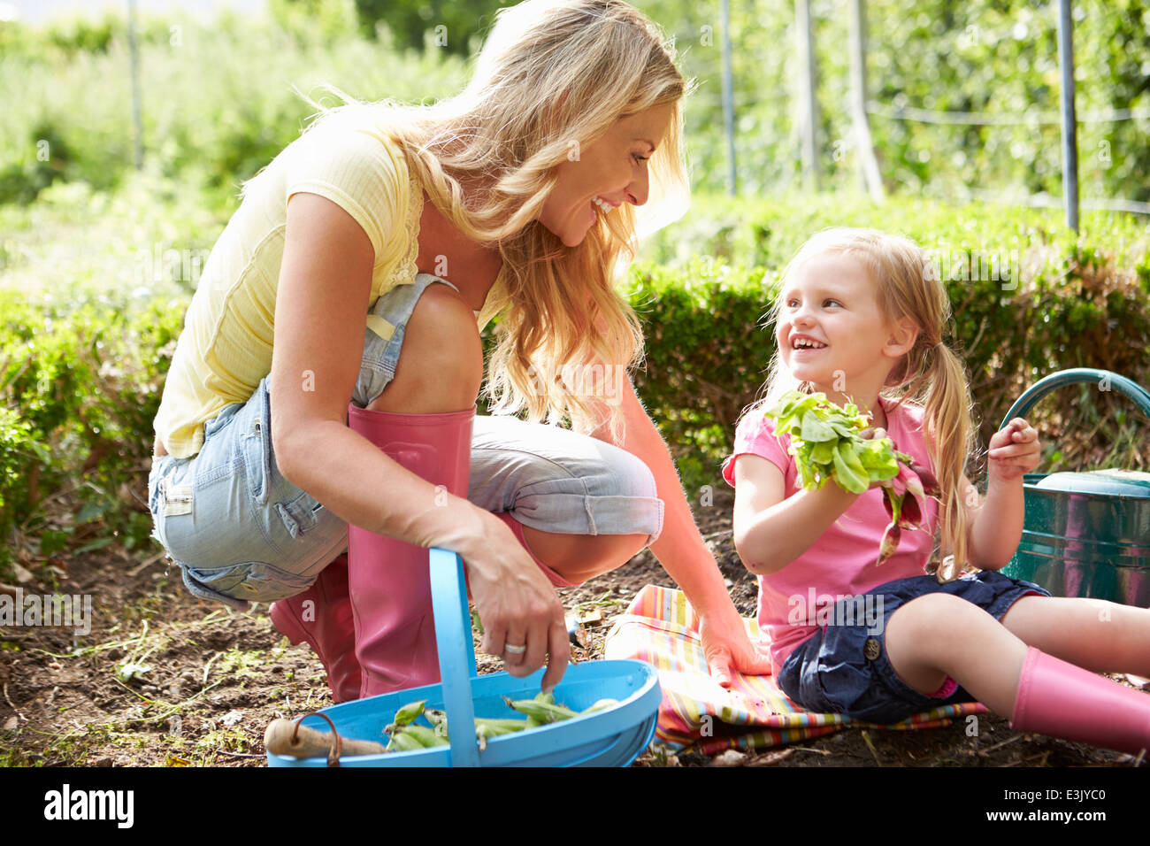 Mutter und Tochter Ernte Rettich auf Zuteilung Stockfoto
