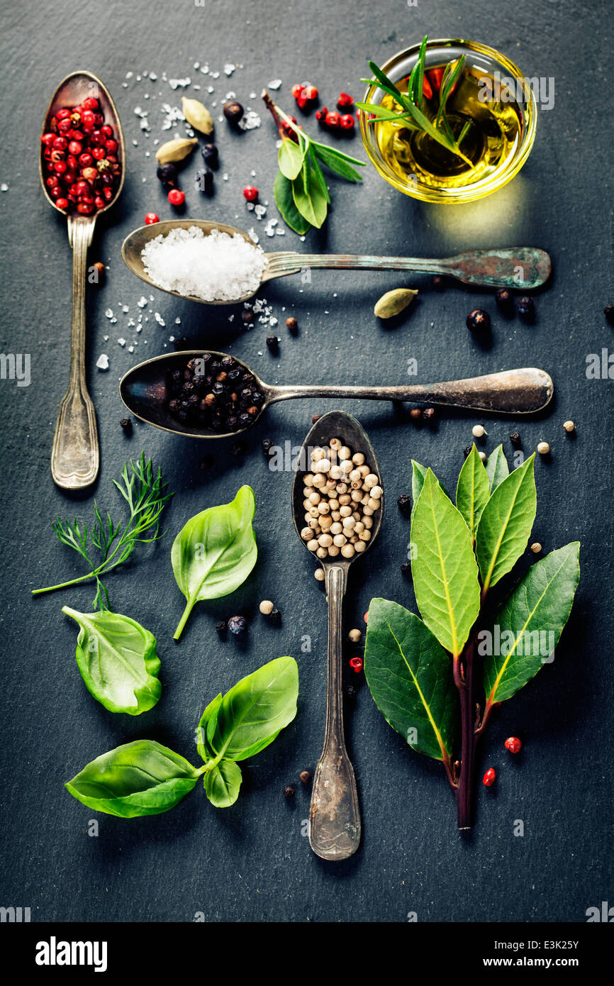 Kräuter und Gewürze Auswahl - Kräuter und Gewürze, alte Metalllöffel und Schiefer Hintergrund - kochen, gesunde Ernährung Stockfoto