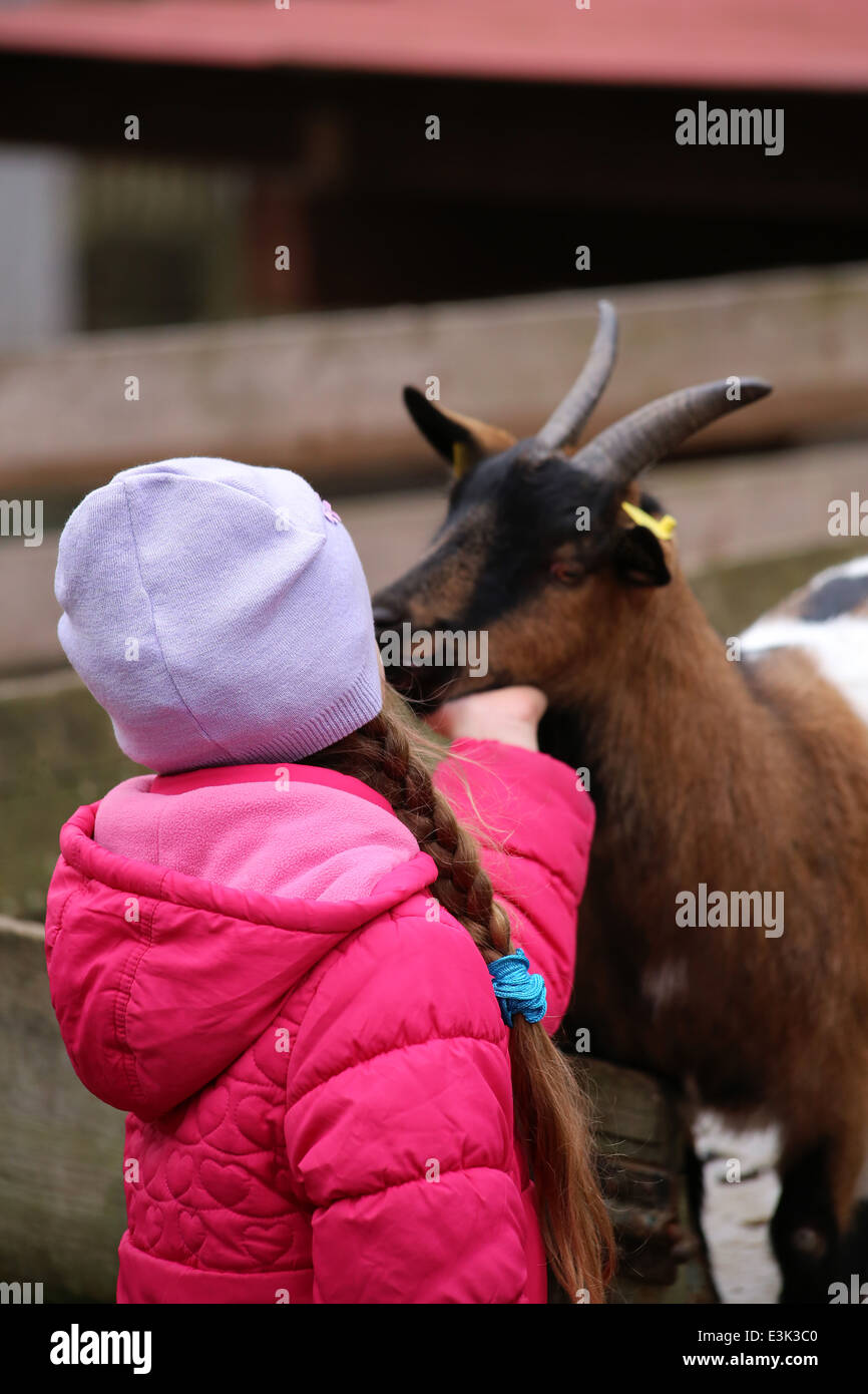 ein kleines Mädchen mit einer Ziege im Zoo Stockfoto