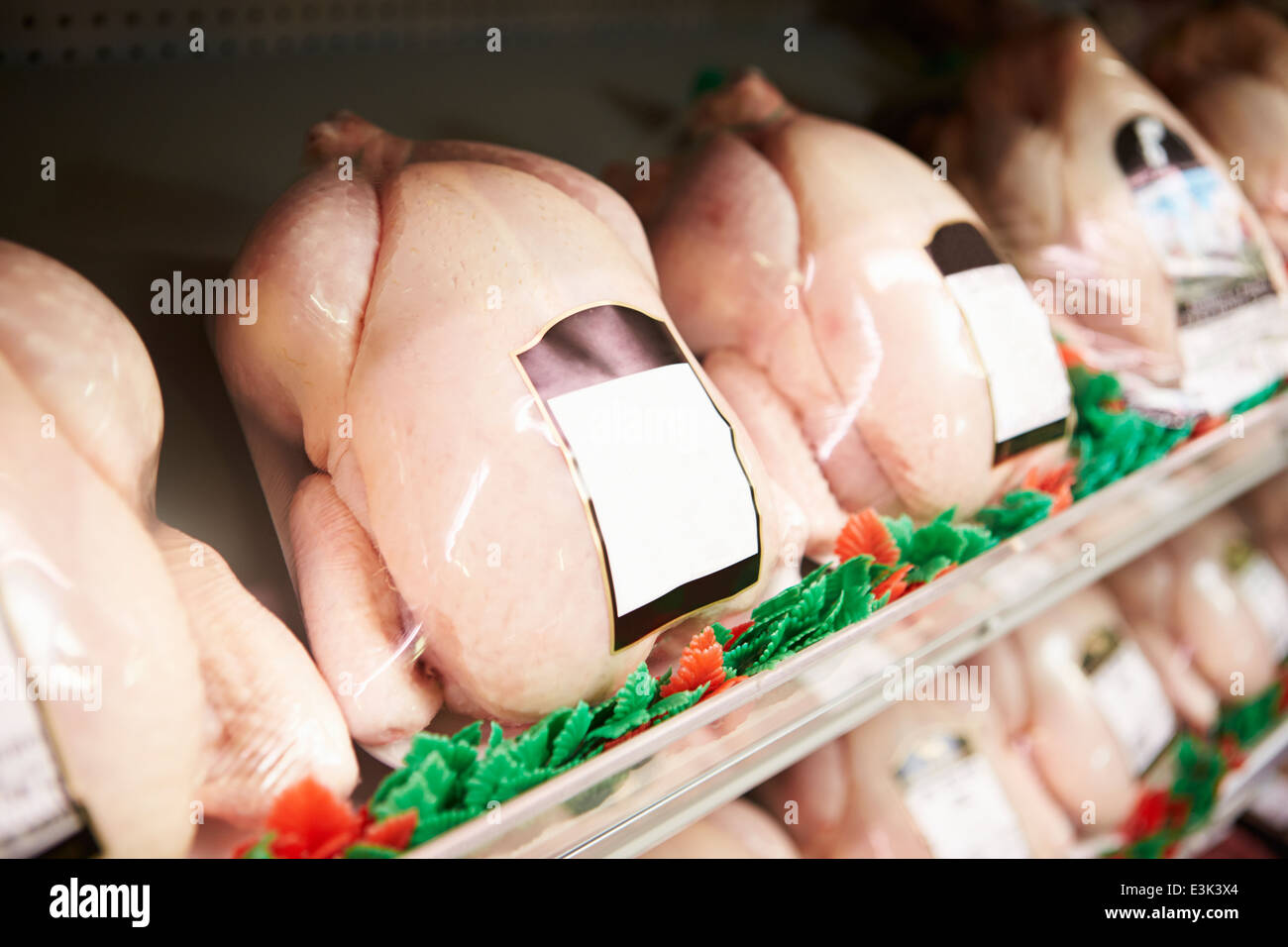 Anzeige der frische Hähnchen In der Metzgerei Stockfoto