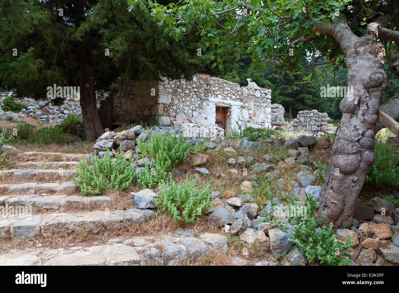 Altes Haus am Palio Pyli Dorf, Insel Kos, Griechenland Stockfoto
