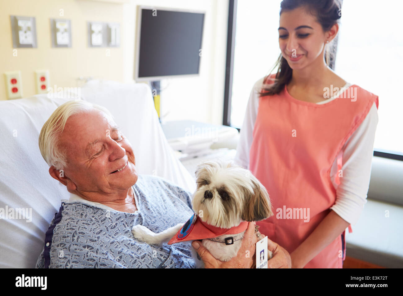 PET-Therapiehund Senior männlichen Patienten im Krankenhaus besuchen Stockfoto