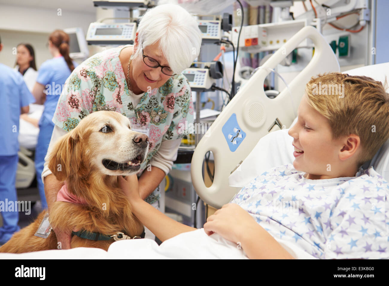 Therapiehund jungen männlichen Patienten im Krankenhaus besuchen Stockfoto