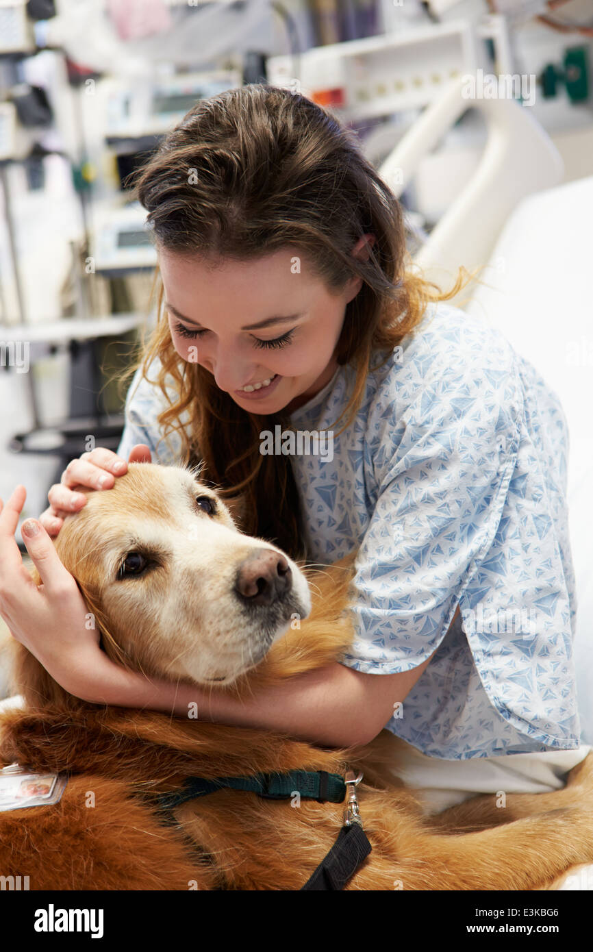 Therapiehund junge Patientin im Krankenhaus besuchen Stockfoto