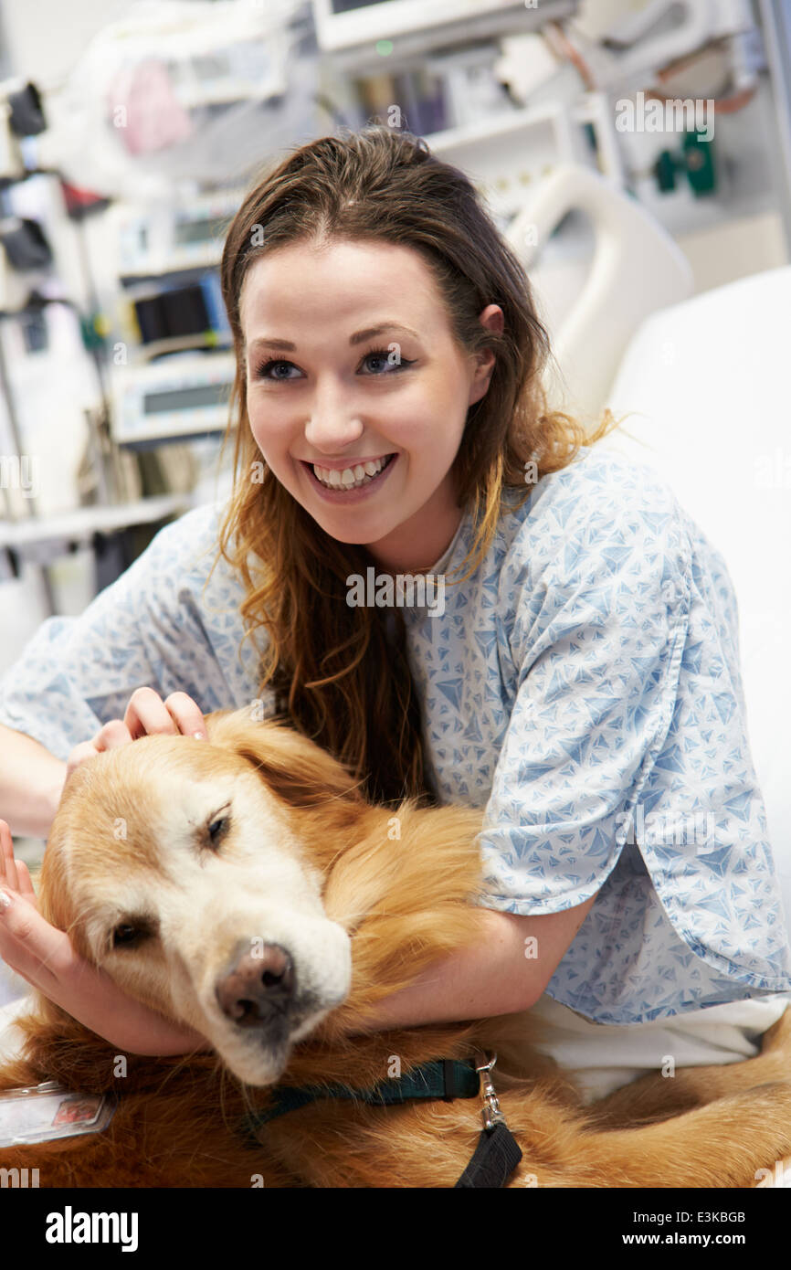 Therapiehund junge Patientin im Krankenhaus besuchen Stockfoto