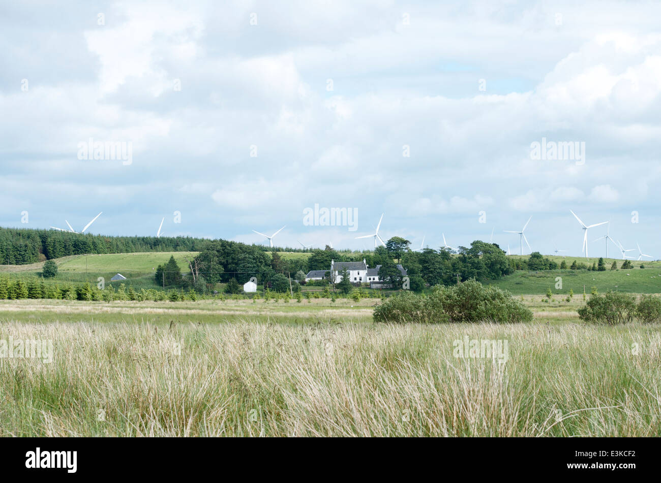 Fenwick Moor Stockfoto