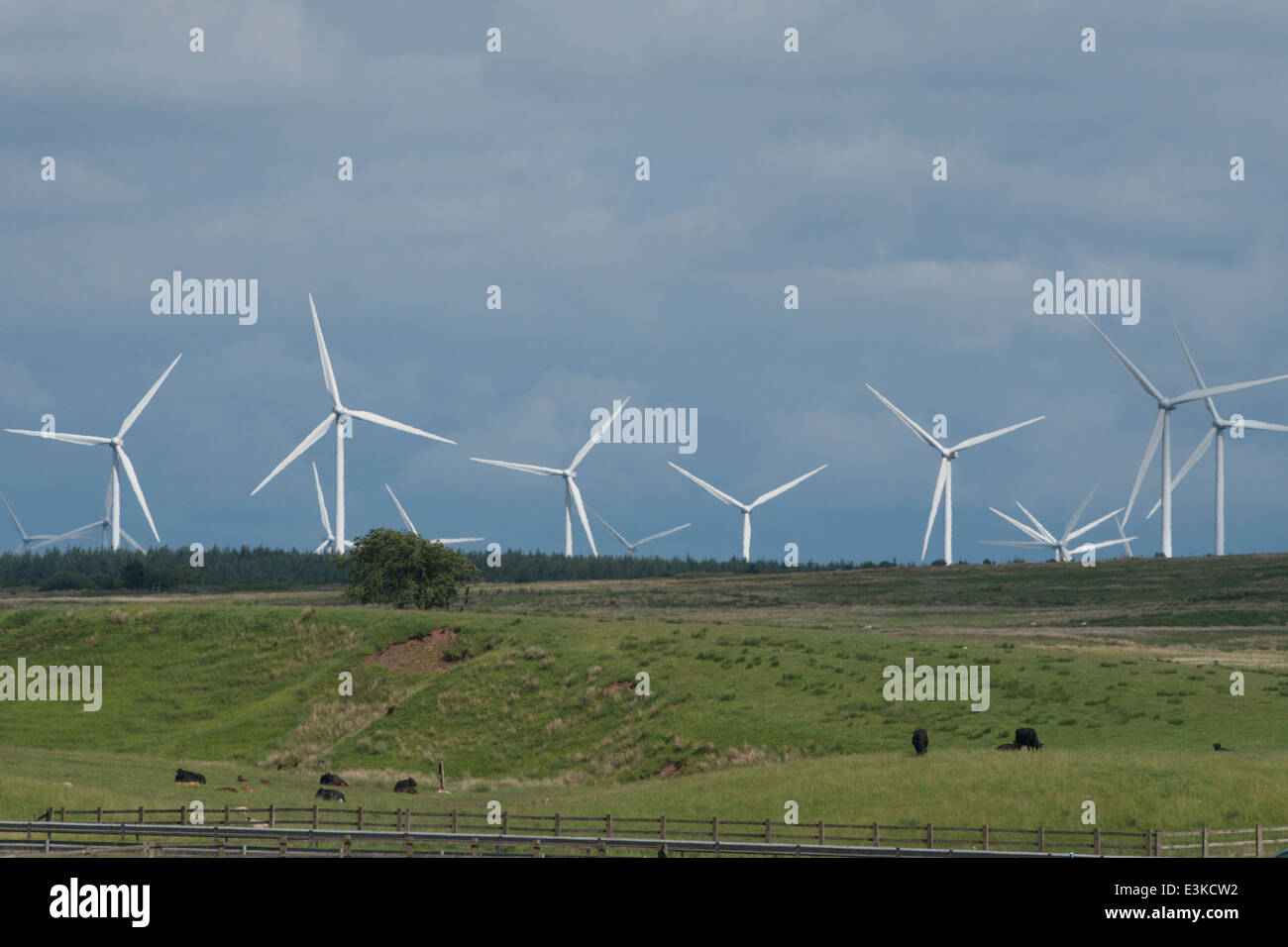 Turbinen der Whitelee Windfarm dominieren das Ackerland des Fenwick Moor. Stockfoto