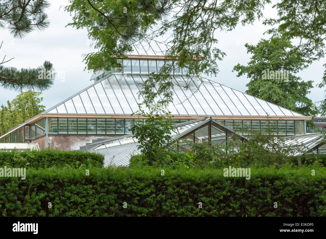 Viktorianischen Gewächshaus im Hortus Botanicus, der Botanische Garten der Universität Leyden, Südholland, Niederlande. Stockfoto