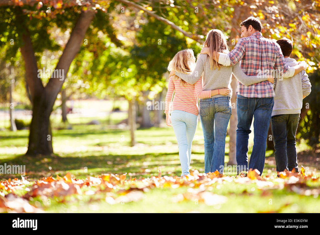 Rückansicht der Familie zu Fuß durch den Wald Herbst Stockfoto
