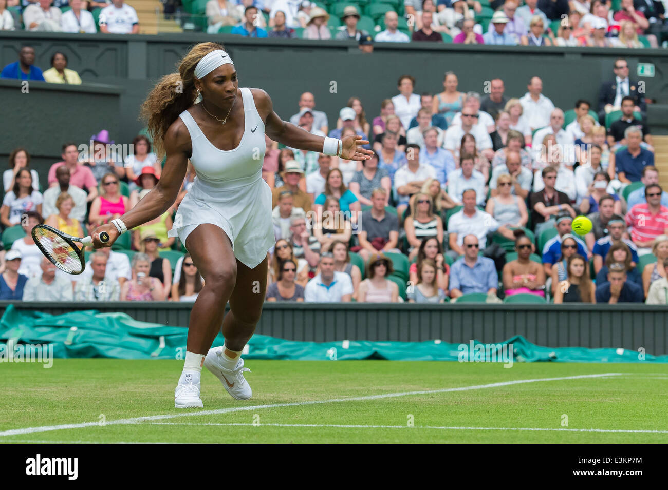 London, UK. 24. Juni 2014. Wimbledon Tennis Championships Serena Williams der Vereinigten Staaten im Kampf gegen Anna Tatishvili der Vereinigten Staaten in Tag zwei Damen Einzel ersten Vorrundenspiel bei den Wimbledon Tennis Championships auf The All England Lawn Tennis Club in London, Vereinigtes Königreich. Bildnachweis: Aktion Plus Sport/Alamy Live-Nachrichten Stockfoto