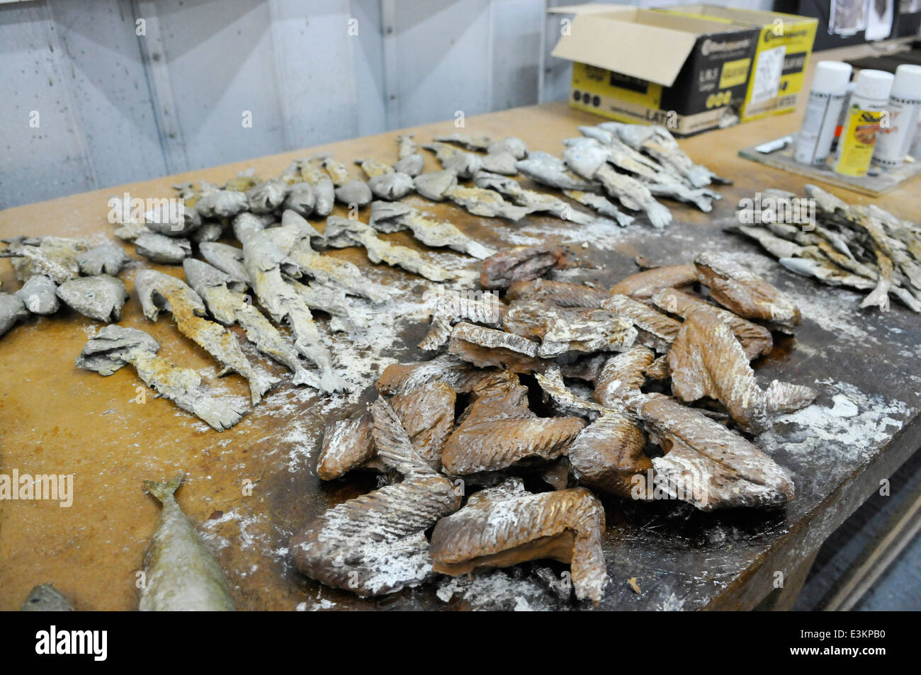 Fisch und andere Lebensmittel, die im Requisiten-Department von Game of Thrones, Belfast, Nordirland zubereitet werden. Stockfoto