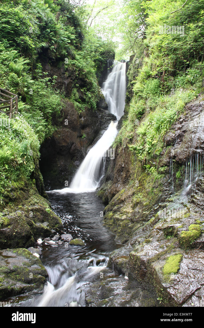 Glenariff Wasserfall, an der Küstenroute Causeway Coast, County Antrim Nordirland Stockfoto