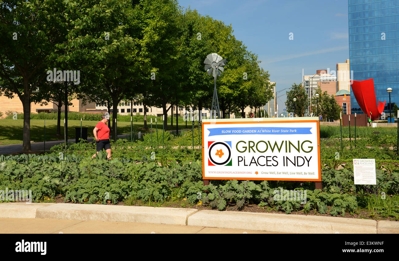 INDIANAPOLIS - 15.Juni: Wachsende Orte Indy unterhält vier städtische Mikro-Betriebe, wie dieser Slow Food Garden in der Innenstadt von Indianap Stockfoto
