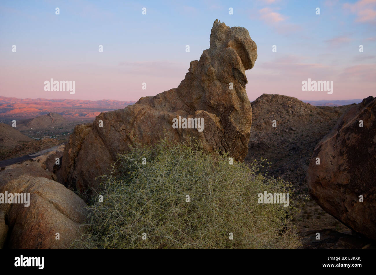 Seltsame Felsformationen auf einem Bergrücken über dem Talboden im kalifornischen Joshua Tree National Park. Stockfoto