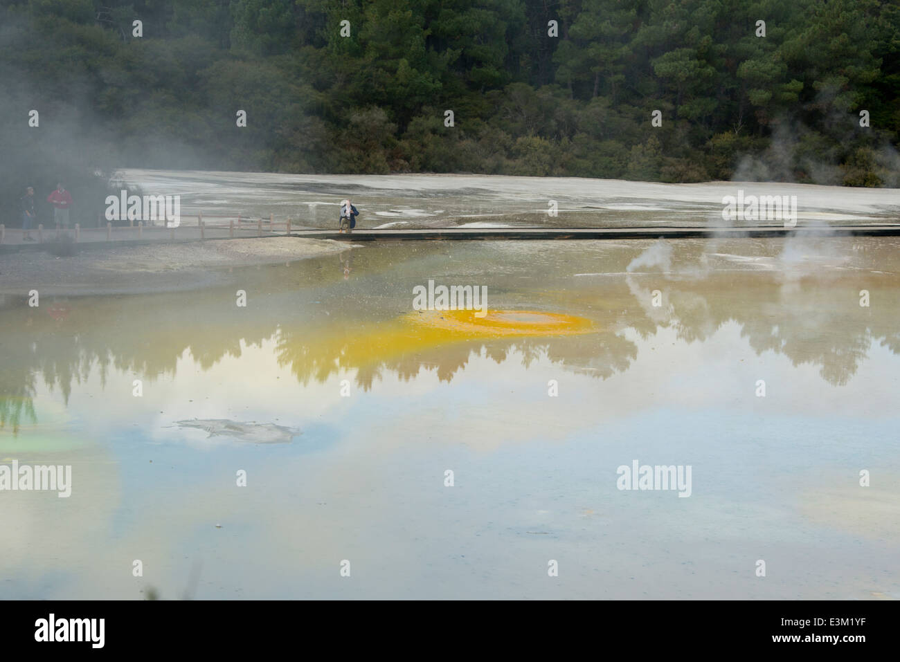 Neuseeland, Nordinsel, Rotorua, Taupo vulkanische Zone. Wai-o-Tapu Tal aka Waiotapu (Maori für Heiliges Wasser) Geothermie park Stockfoto