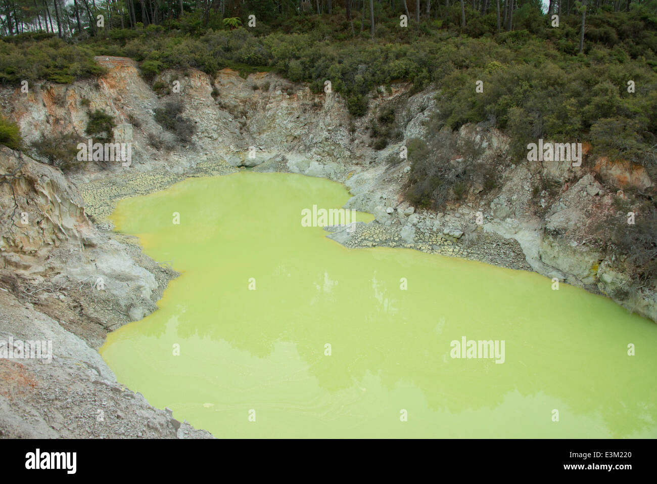 Neuseeland, Nordinsel, Rotorua, Taupo vulkanische Zone. Wai-o-Tapu-Tal. Teufels-Bad, natürliche lindgrün Pool. Stockfoto