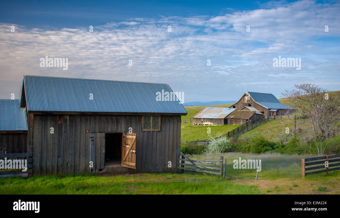 Columbia Hills State Park, WA: Verwitterte Gelände des Dalles Mountain Ranch in die Columbia Hills über den Columbia River Stockfoto