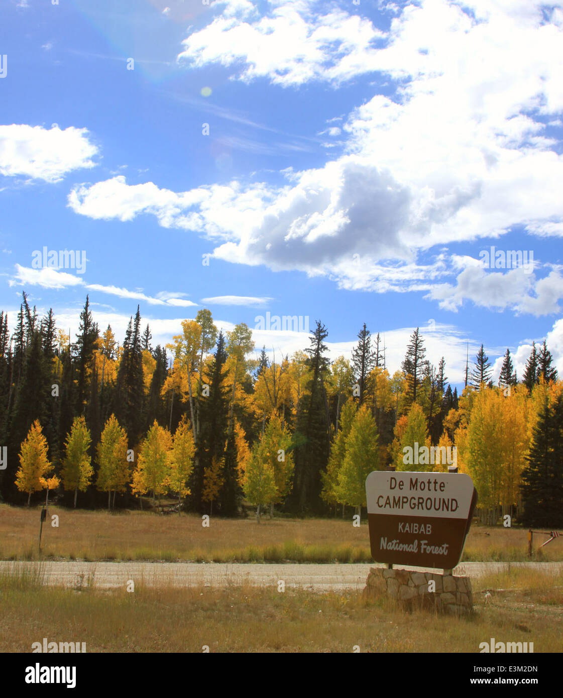 DeMotte Campground im Herbst, North Kaibab Ranger District Stockfoto