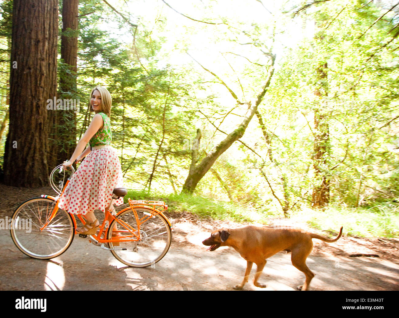 Frau Reiten Fahrrad in Redwoods mit ihrem Hund Stockfoto