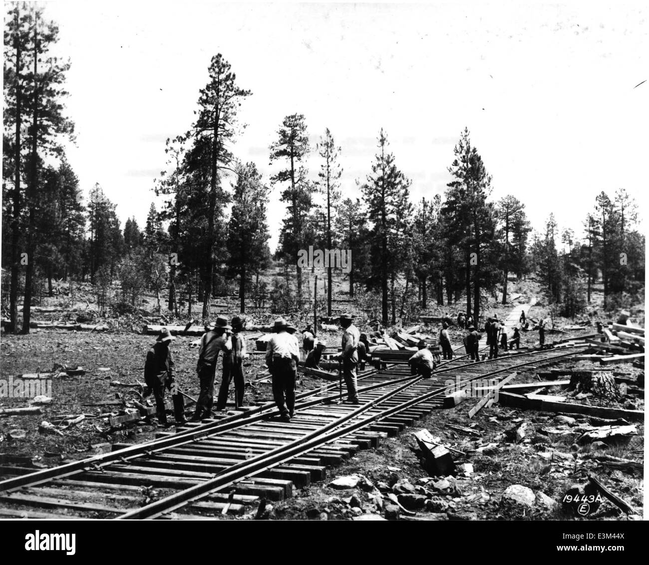 Die Holzfällereisenbahn im Coconino National Forest von 1914 war ein wichtiger Teil der historischen Holzindustrie des Waldes. Die Eisenbahn half beim Transport von Holzfässern und spielte eine Schlüsselrolle bei der frühen Entwicklung des Waldes, was die reiche Geschichte des Gebiets in der Forst- und Ressourcenbewirtschaftung hervorhob. Stockfoto