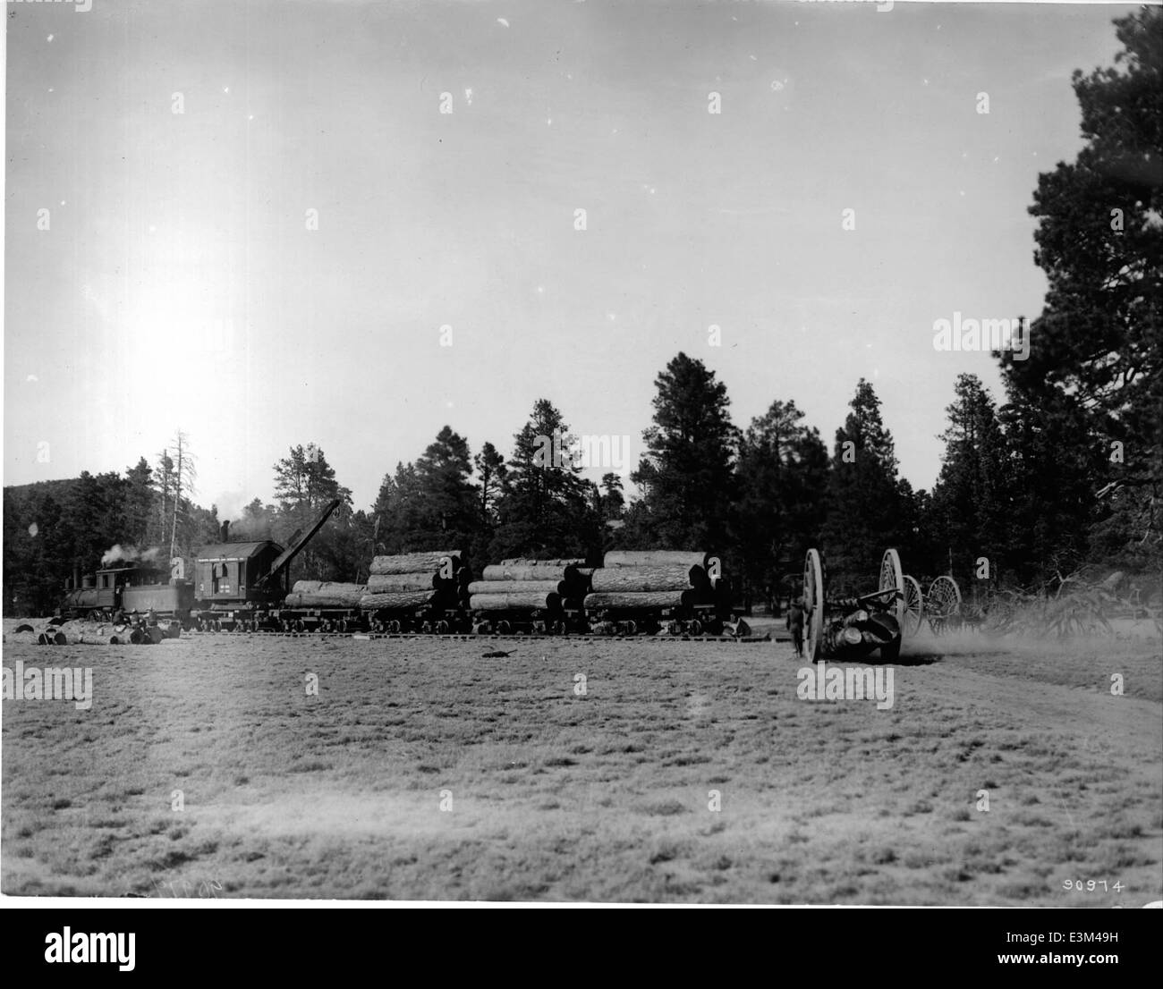 Ein historisches Bild aus dem Coconino National Forest aus dem Jahr 1910, das frühe Holzeinschläge in der Gegend zeigt. Das Foto spiegelt die Holzfällerei jener Zeit wider, die die Geschichte und Entwicklung des Waldes mitgeprägt hat. Stockfoto