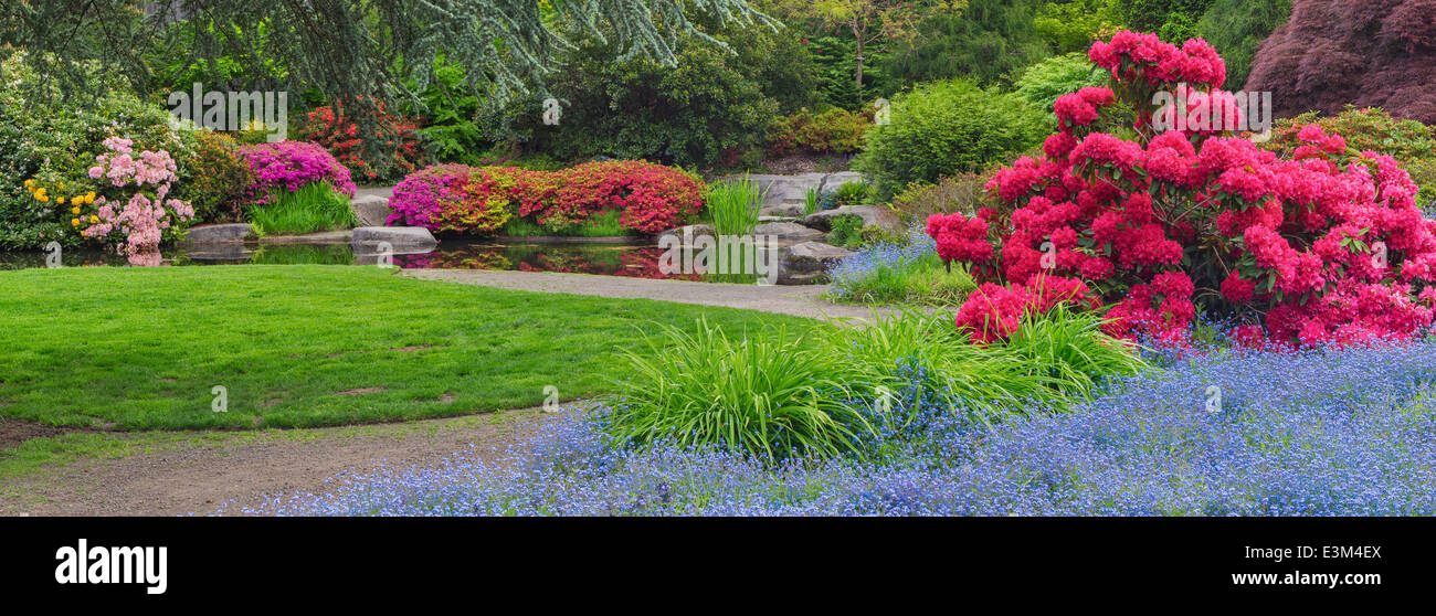 Seattle, WA Kubota Garten Stadtpark, Frühling Tom Kubota Spaziergang Gartenblick Stockfoto