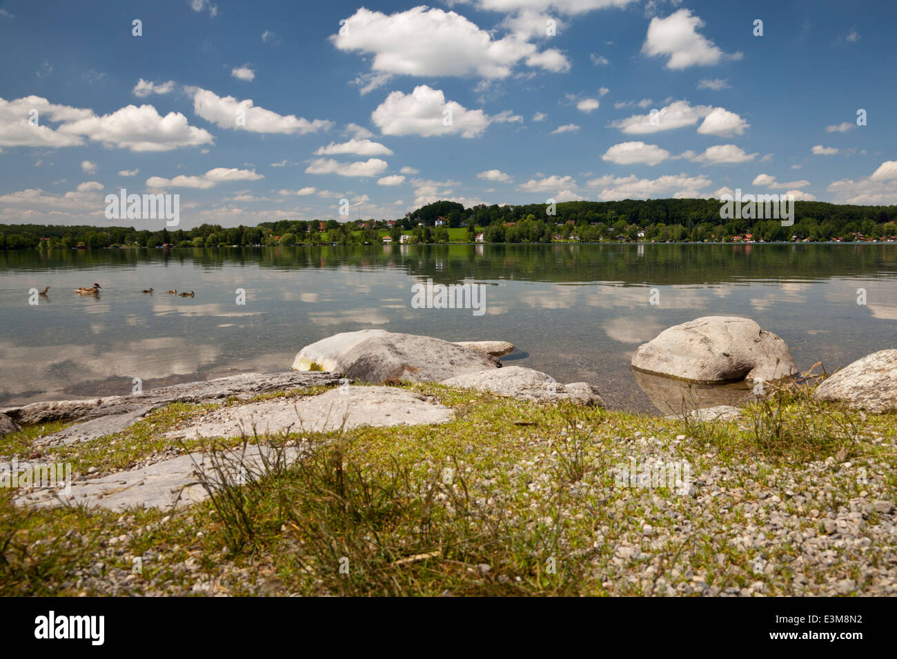 Ufer des Lake Woerth, Erling, Andechs, Fünfseenland, Upper Bavaria, Bayern, Deutschland, Europa Stockfoto