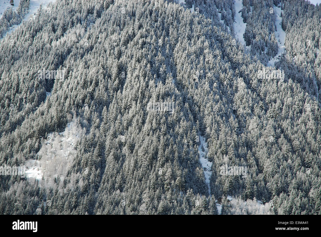 Bewaldeten Berghang in den französischen Alpen Stockfoto