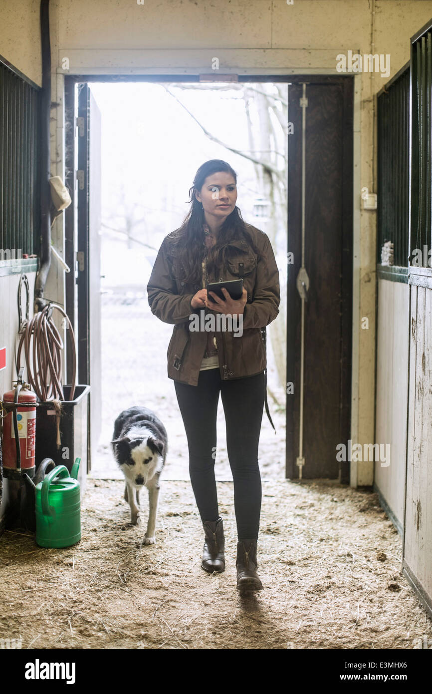 Gesamte Länge der jungen Frau, die mit digital-Tablette im Pferdestall Stockfoto