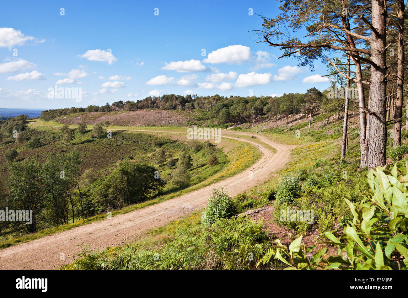 Die Lage der alten A3 London Portsmouth Road in Hindhead, nach zurück zu Heide wiederhergestellt wird. Juni 2014. Stockfoto