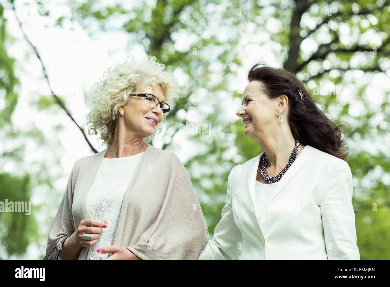 Glückliche Frauen in Führungspositionen im Gespräch bei einem Spaziergang im park Stockfoto