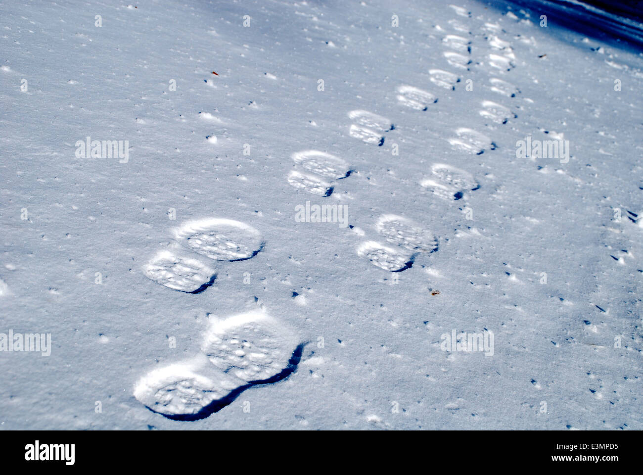 Fußspuren im Schnee. Stockfoto