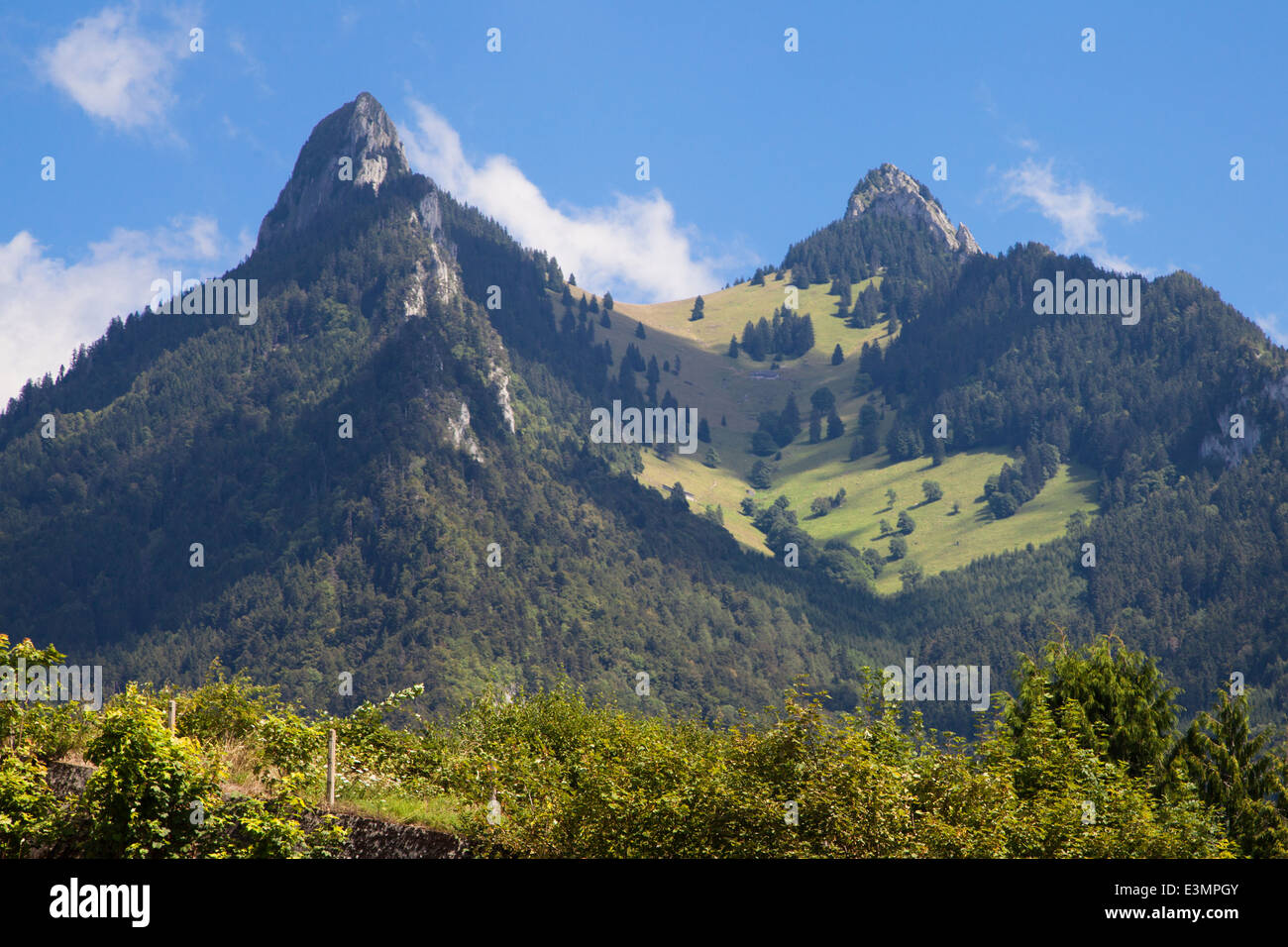 Dent de Broc und Dent du Chamois in La Gruyère, Schweiz. Stockfoto