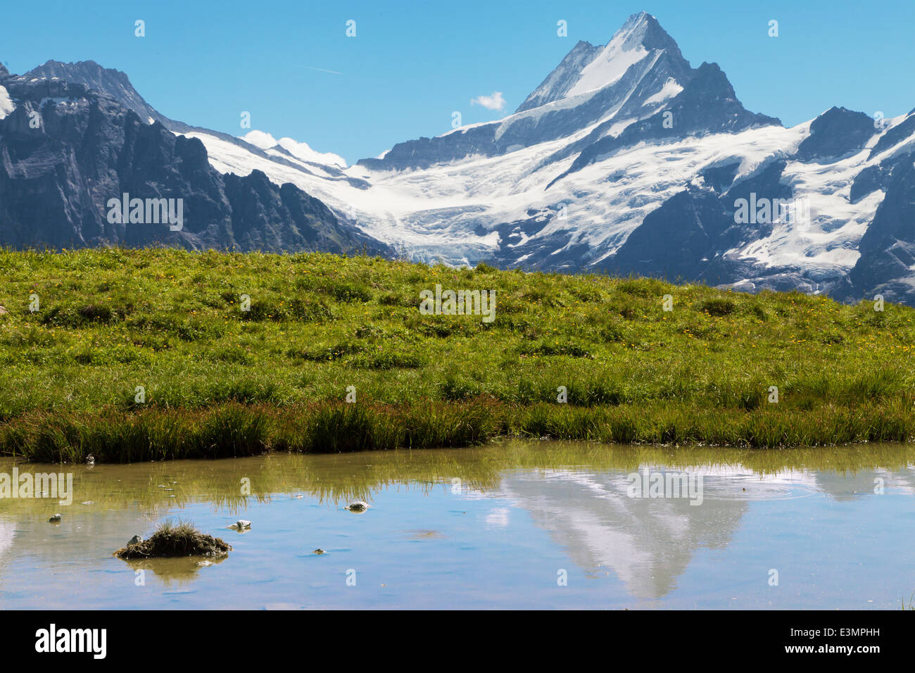 Mount Schreck-spiegelt sich auf einem See, Berner Oberland, Schweiz. Stockfoto