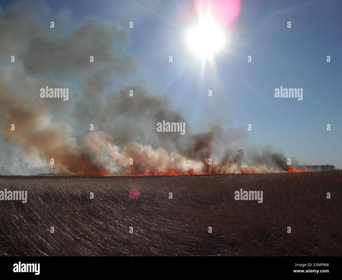 Vorgeschriebenen Burn Stockfoto