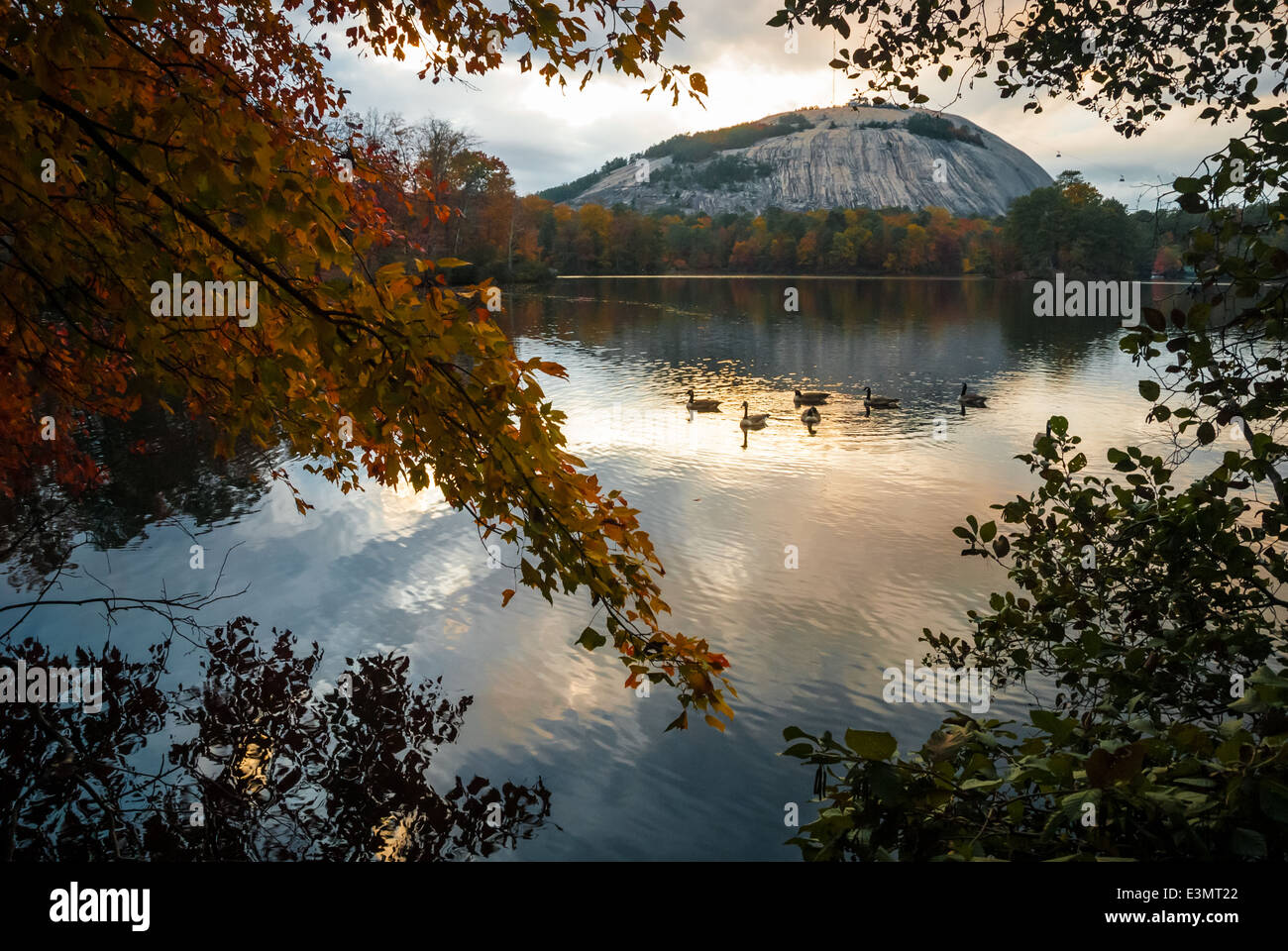 Enten gleiten über einen noch See im Stone Mountain Park in der Nähe von Atlanta, Georgia, beim Sonnenuntergang an einem Herbsttag. USA. Stockfoto