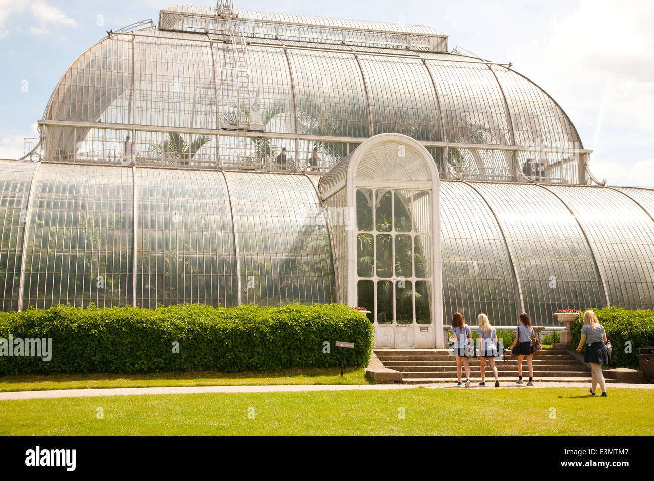 Das Palmenhaus in Kew Royal Botanic Garden, London, UK Stockfoto