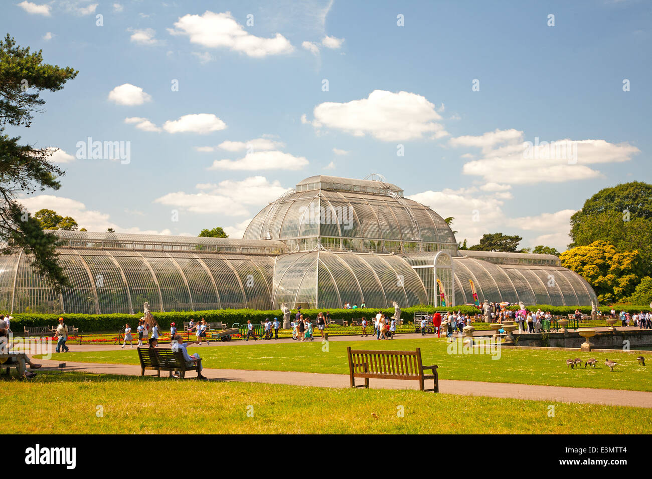 Das Palmenhaus in Kew Royal Botanic Garden, London, UK Stockfoto