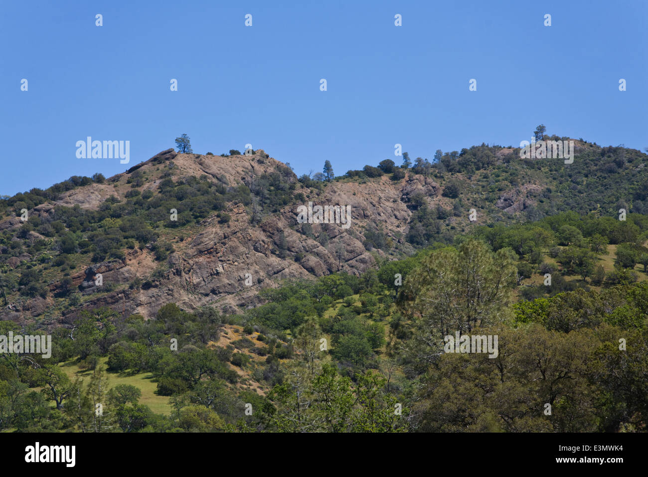 Eine Rinderfarm Coastal Range in Zentral-Kalifornien Stockfoto