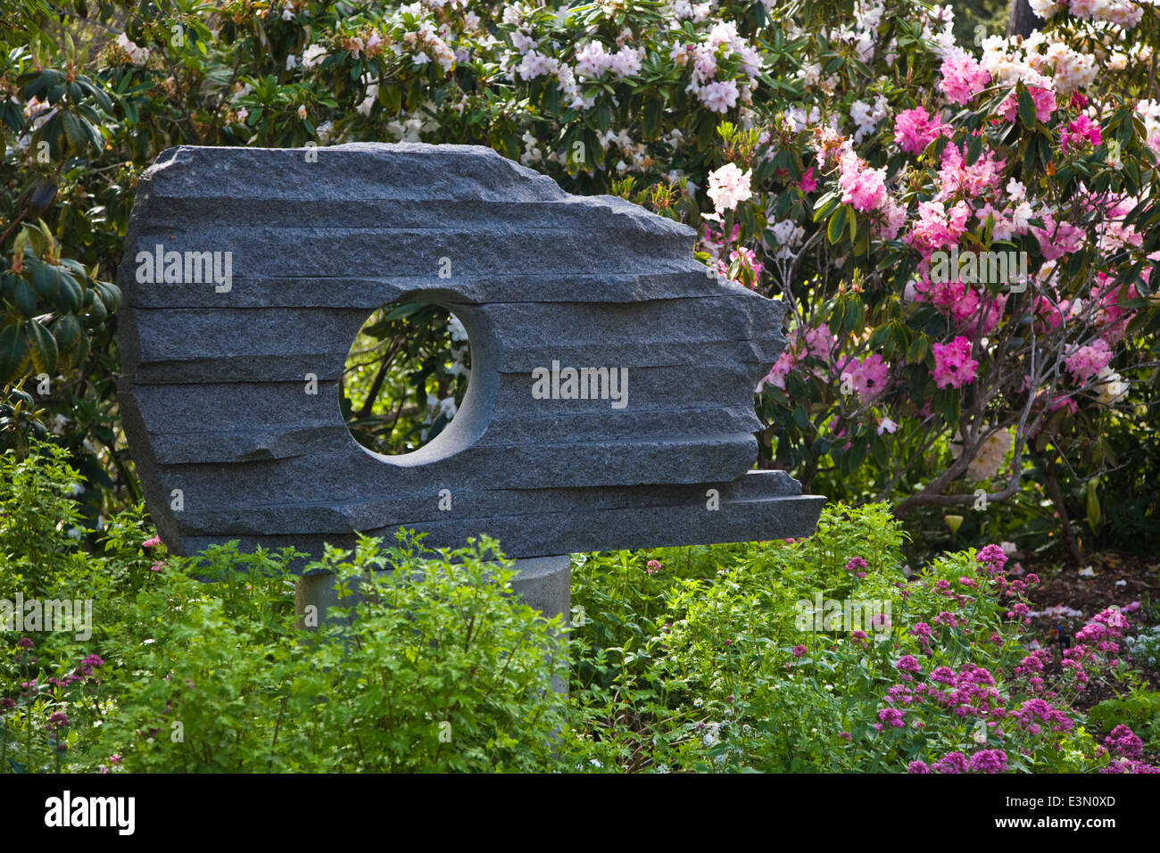 Stein Skulptur Im Garten Rhododendron Im Kunstmuseum La Mirada