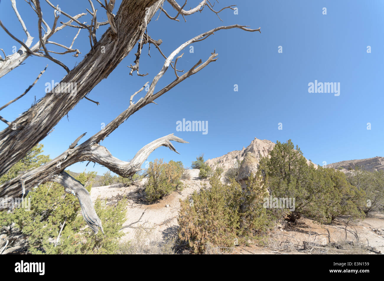 Ein Blick auf die Landschaft am Kasha-Katuwe Zelt Rocks National Monument, New Mexico, USA. Stockfoto