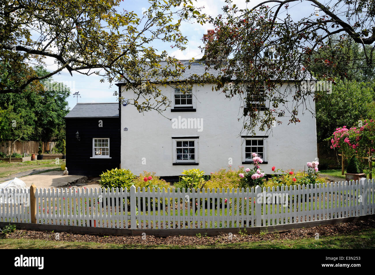 Weiß lackiertes zwei Geschichte 17. Jahrhundert Cottage mit Lattenzaun vor, Bayford Dorf, Hertfordshire England Großbritannien UK Stockfoto