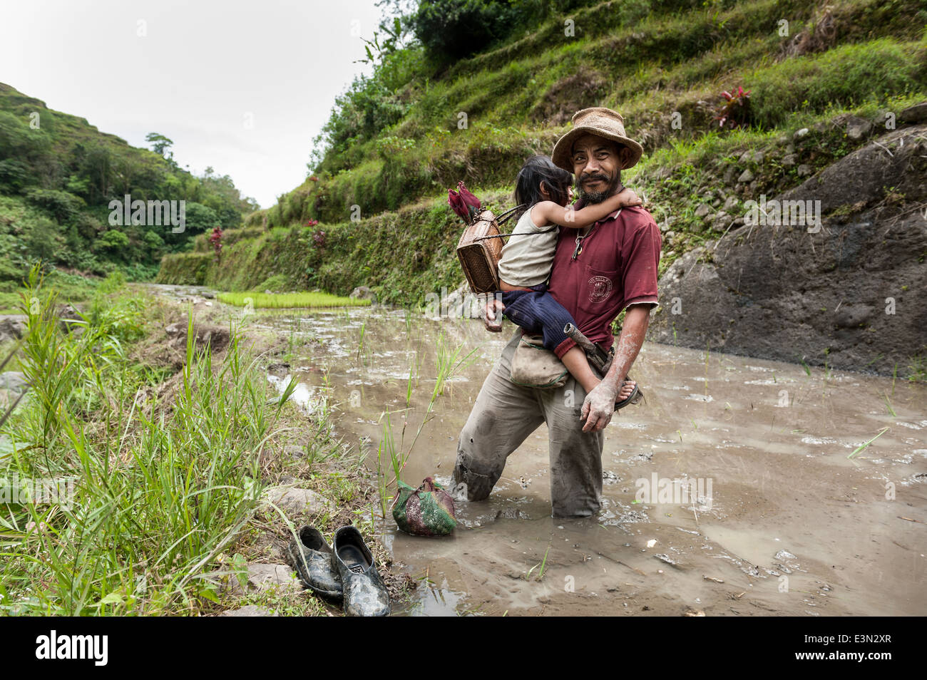 Mann mit seiner Tochter in einem Reisfeld, Luzon, Philippinen. Stockfoto