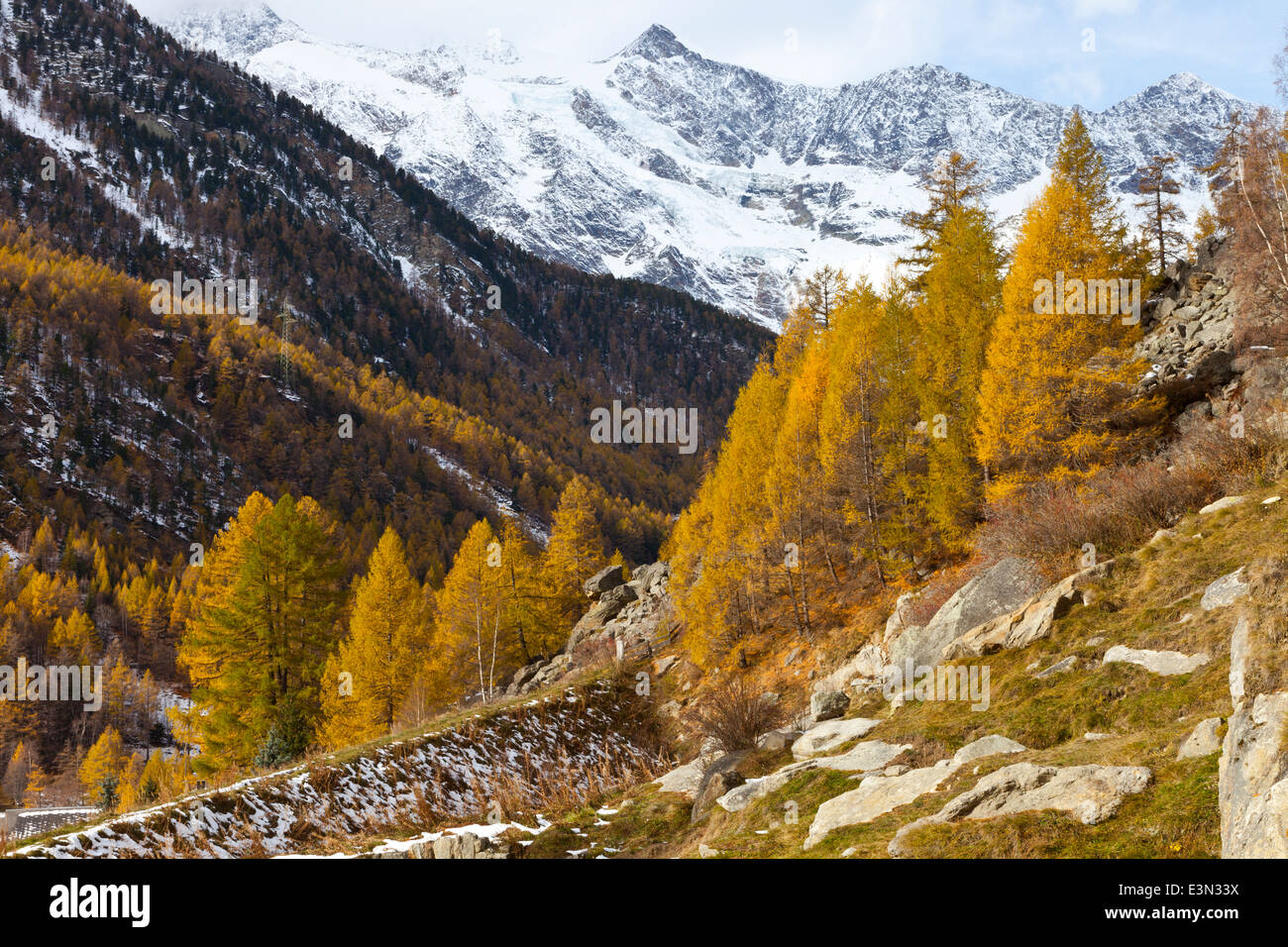 Schweizer Alpen Berge in der Nähe von Saas-Fee im Saastal mit schneebedeckten Gipfeln und herbstlichen bunten Bäumen mit exponierten Felsen, alpine Pflanzen Stockfoto